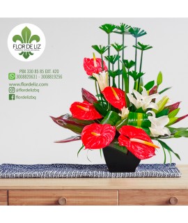 SORPRESA FLORAL SORPRESA FLORAL